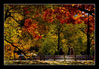 Enjoy Last Foliage