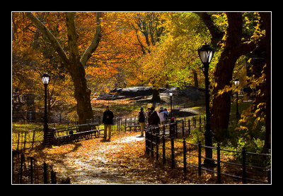 Central Park, NYC