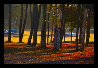 Early Morning