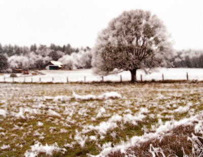 winter farmland.jpg