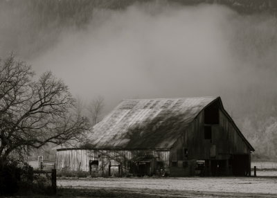 barn and fog.JPG