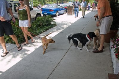 2006-04-29k.jpg