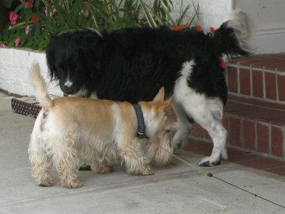 2007-05-19l.jpg