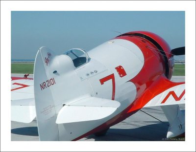 Gee Bee R2 replica ~ Delmar Benjamin