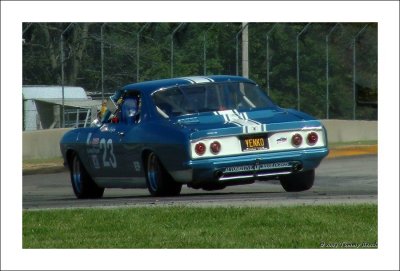 Yenko Stinger