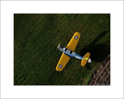PT-23