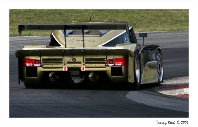 AIM Autosport Racing ~ Lexus Riley ~ Rolex Series ~ Daytona Prototype