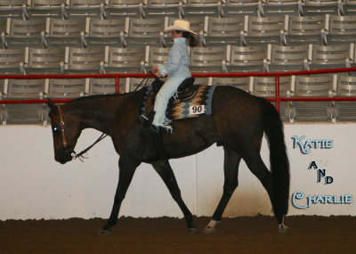 july horse show