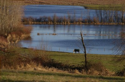 December 2006