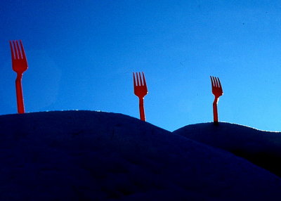 forks