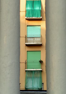 green windows