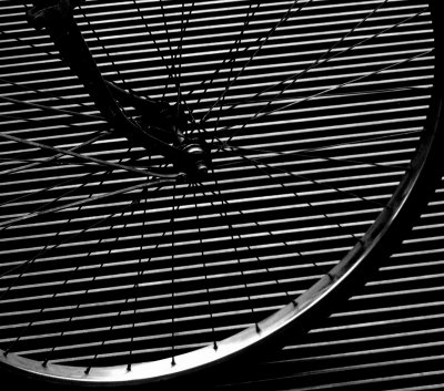 Lines b&w