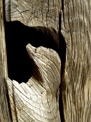 abstract  wood