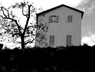 the Tree with house