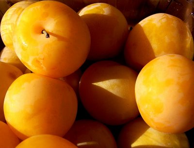 yellow plums