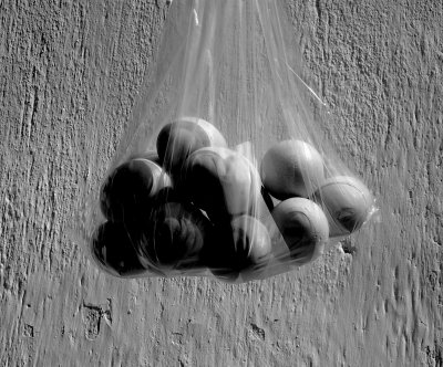 eggs
