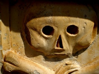 skull