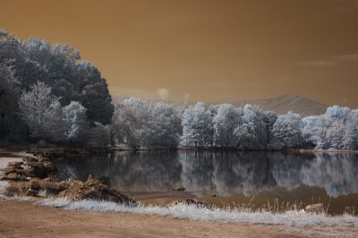 Nov 1  Infrared Lake Tomahawk