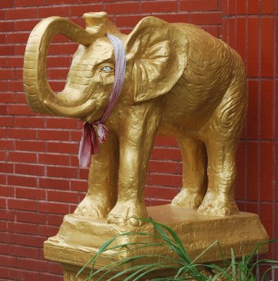 Nov 13  Temple Elephant