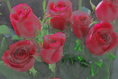 Feb 14   Happy Valentine's Day!