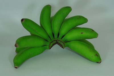 Mar 12   Baby Apple Bananas
