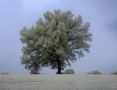 July 14  Infrared