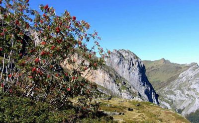 Pic de La Tnbre (2344 m) 