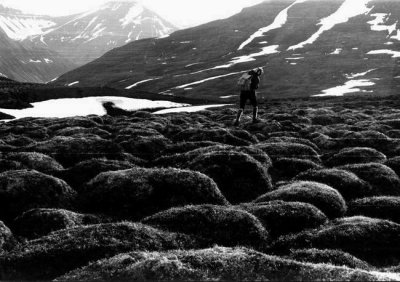 Terre d'Islande au dgel : les spoufs !
