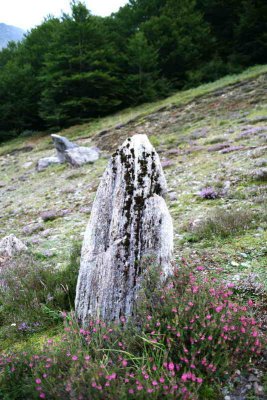 Cromlech du Brousset