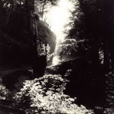 La montée vers Arbéost