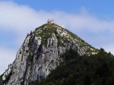 Monsgur : le Pog