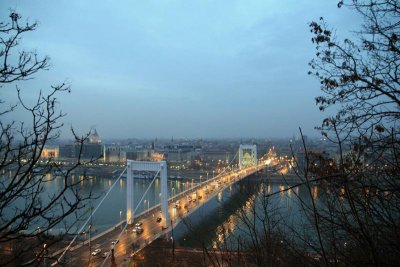 Elisabeth Bridge from Gellert Hill