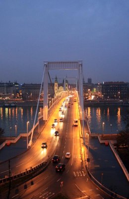 Elisabeth Bridge at night