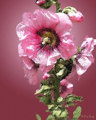 Hollyhock