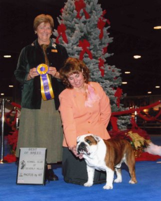 Wednesday, November 29, Kennel Club of Bevery Hills, Long Beach Ca. #78 PCBC Supported Entry