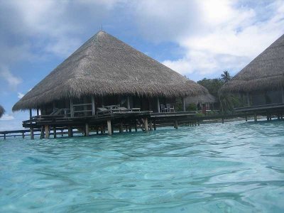 Island