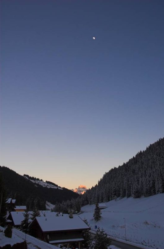 DSC_1471-01.jpg