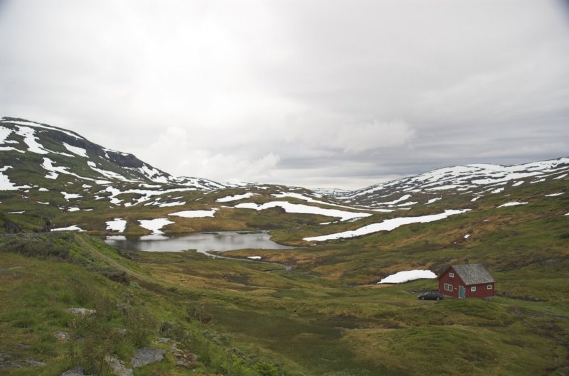 DSC_2968-01.jpg