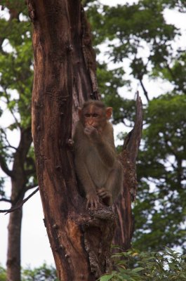 DSC_2580-01.jpg