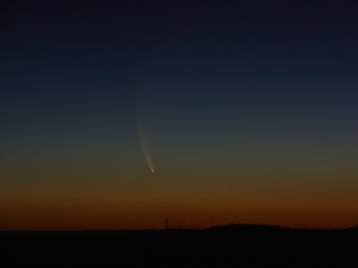 McNaught005.jpg