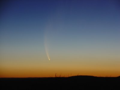 Comet 2/2006 P1 McNaught