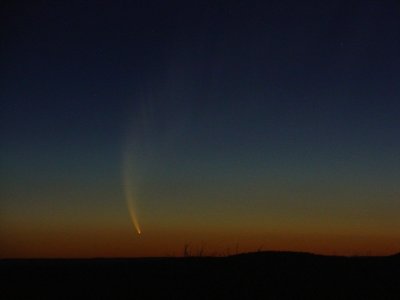 Comet 2/2006 P1 McNaught