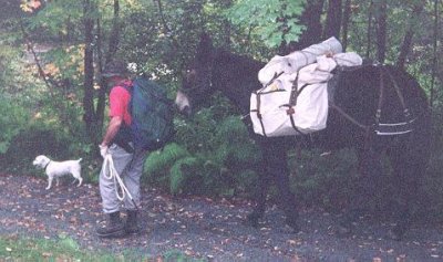 David packing into deer camp