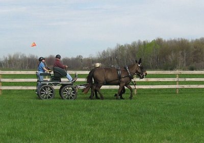 jh on near side - taken at a pleasure driving clinic give by Jeff Morse and sponsored by the SDA - photo by Jeff Morse