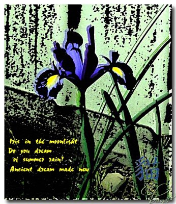 Woodcut iris and haiku.jpg