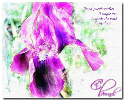 painter 7 watercolor iris.jpg