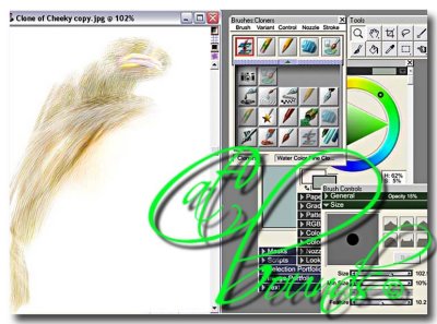 Ellisha Painter setup-.jpg