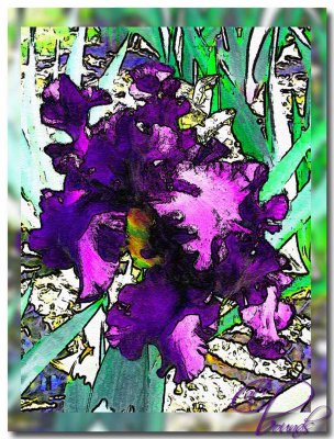 irises watercolor photoshop.jpg
