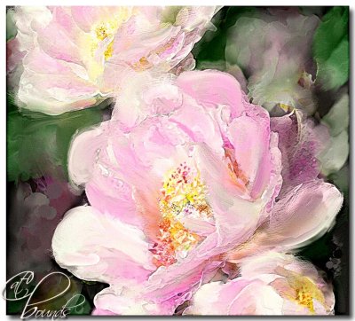 Flower-Power.jpg