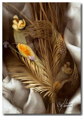 Squash-Blossom2.jpg